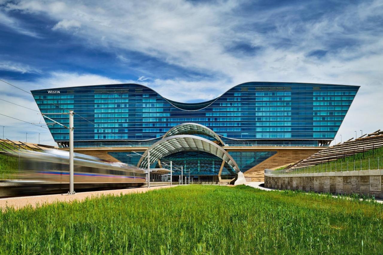 Hoteles de Negocios en Colorado: 4 Opciones Comparadas