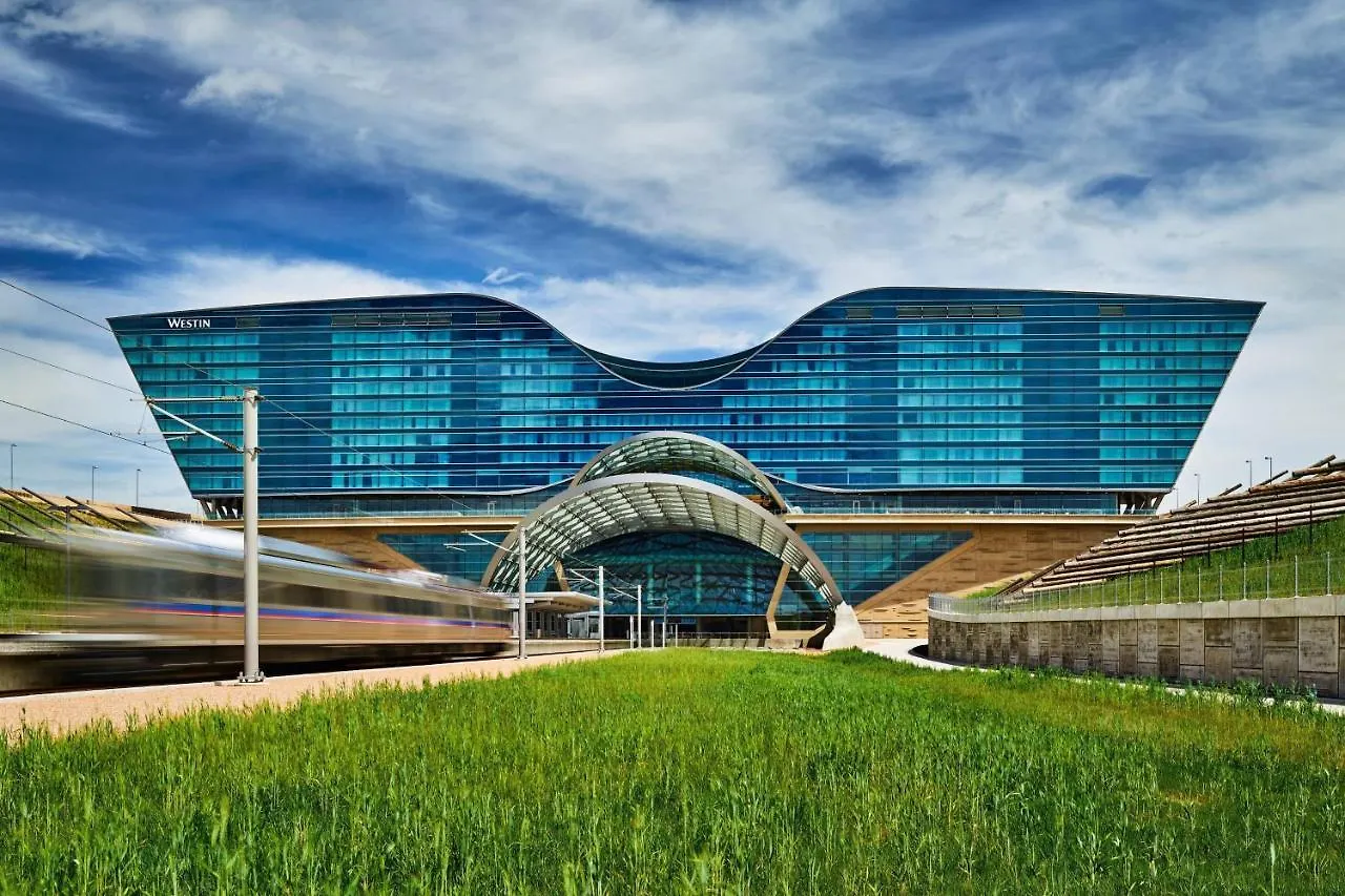 Hoteles de Negocios en Colorado: 4 Opciones Comparadas